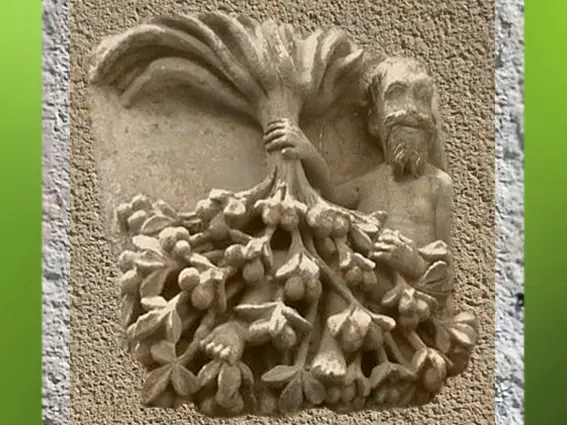 Noyer inversé - travail sur un rêve Gaël de Kerret